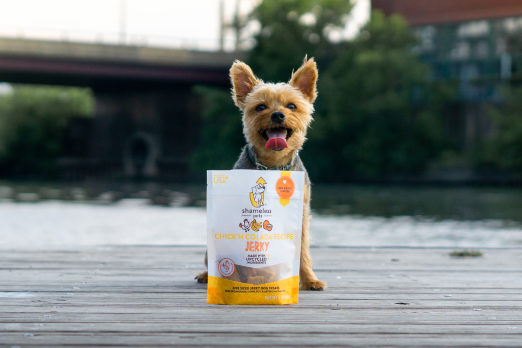 Hundefutter Geschäft 9 Hundefutter Geschäft -Hundefutter Geschäft Shameless Pets 2