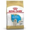 Royal Canin Puppy Golden Retriever -Hundefutter Geschäft g0102118 royal canin puppy golden retriever 5417340