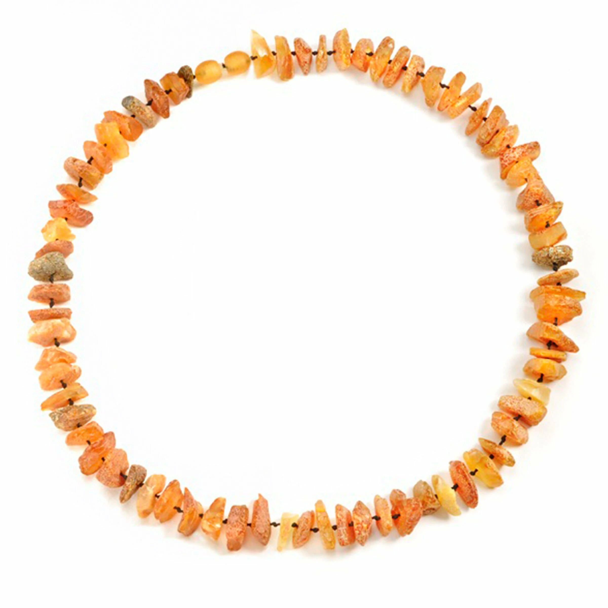 Amberdog Bernsteinkette Sonne Gegen Zecken 3 Amberdog Bernsteinkette Sonne Gegen Zecken