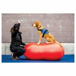 FitPAWS Balancekissen Peanut Verschiedene Grössen -Hundefutter Geschäft g1307375 fitpaws balancekissen peanut verschiedene grossen 5422925 3 p