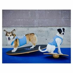 FitPAWS Balance Board Wobble Board Rund -Hundefutter Geschäft g1307779 fitpaws balance board wobble board rund 5422926 2 p