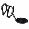 Rogz Alleycat Katzenleine Mit Katzengeschirr -Hundefutter Geschäft g1355274 rogz alleycat katzenleine mit katzengeschirr 610161a p