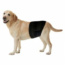 Freezack Einweg-Windeln Für Rüden