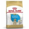 Royal Canin Puppy Labrador Retriever 2 Royal Canin Puppy Labrador Retriever -Hundefutter Geschäft g1702110 royal canin puppy labrador retriever 5417355