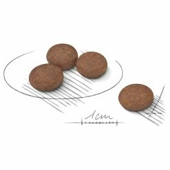 Royal Canin Dog Medium Digestive Care 5 Royal Canin Dog Medium Digestive Care -Hundefutter Geschäft g2481581 royal canin dog medium digestive care 5417400 2 p