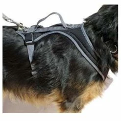 Grossenbacher Brustgeschirr Dogs Fun Run Schwarz -Hundefutter Geschäft g2919899 grossenbacher brustgeschirr dogs fun run schwarz 5413918 3 p