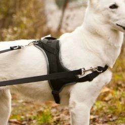 Grossenbacher Ausbildungsgeschirr Guide -Hundefutter Geschäft g2938693 grossenbacher ausbildungsgeschirr guide 5413900 2 s p