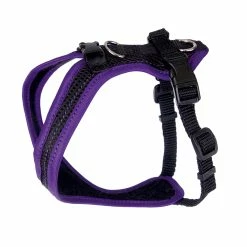 Grossenbacher Brustgeschirr Dogs Fun Run Violett