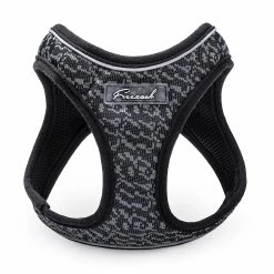 Freezack Fashion Soi