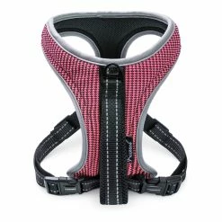 Freezack Sport Soi -Hundefutter Geschäft g3294445 freezack sport soi 517012k 2 p