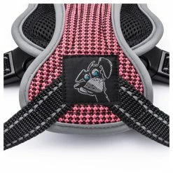 Freezack Sport Soi -Hundefutter Geschäft g3294445 freezack sport soi 517012k 3 p