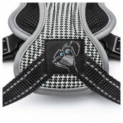 Freezack Sport Soi -Hundefutter Geschäft g3294445 freezack sport soi 517012w 3 p