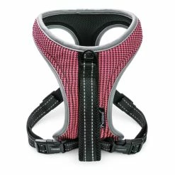 Freezack Sport Soi -Hundefutter Geschäft g3294445 freezack sport soi 517062k 1 sp