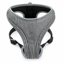 Freezack Sport Soi -Hundefutter Geschäft g3294445 freezack sport soi 517062w sp