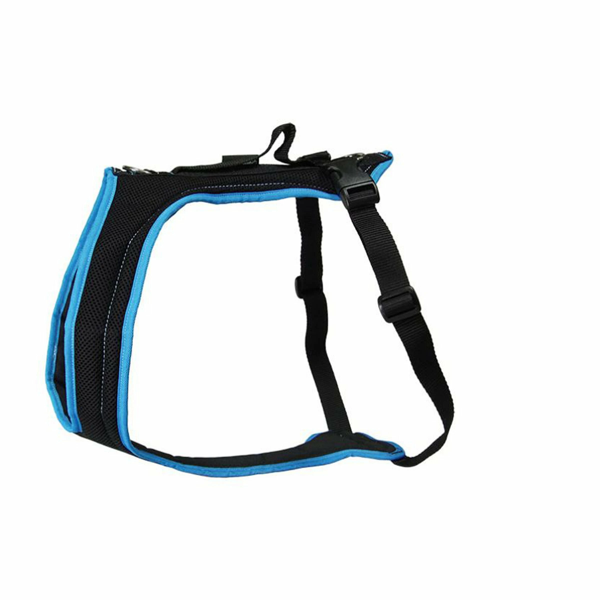 Grossenbacher Brustgeschirr Dogs Fun Run Türkis 3 Grossenbacher Brustgeschirr Dogs Fun Run Türkis