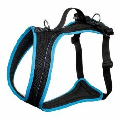 Grossenbacher Brustgeschirr Dogs Fun Run Türkis 6 Grossenbacher Brustgeschirr Dogs Fun Run Türkis -Hundefutter Geschäft g3549192 grossenbacher brustgeschirr dogs fun run turkis 5413989 2 p