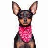 Aqua Coolkeeper Cooling Pet Bandana Kühlendes Bandana Red Western -Hundefutter Geschäft g3806768 aqua coolkeeper cooling pet bandana kuhlendes bandana red western 5115906 s