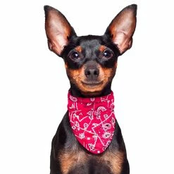 Aqua Coolkeeper Cooling Pet Bandana Kühlendes Bandana Red Western