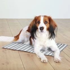 All For Paws Kühlmatte Weiss/grau -Hundefutter Geschäft g5419180 kuhlmatte weiss grau 5419182 2 p