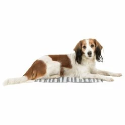 All For Paws Kühlmatte Weiss/grau -Hundefutter Geschäft g5419180 kuhlmatte weiss grau 5419182 3 p