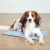 Aqua Coolkeeper Kühlmatte Hund Hellblau -Hundefutter Geschäft g5419183 kuhlmatte hund hellblau 5419181 p