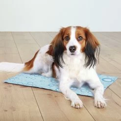 Aqua Coolkeeper Kühlmatte Hund Hellblau
