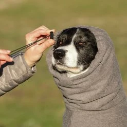 FREEZACK Hundebademantel Grau -Hundefutter Geschäft g5423057 hundebademantel grau 5423057 7 p