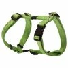 Rogz Alpinist Hundegeschirr Grün -Hundefutter Geschäft g5676545 rogz alpinist hundegeschirr grun 516210g s