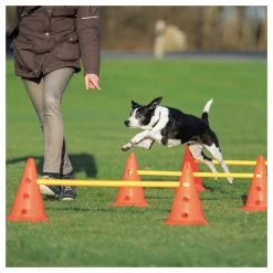FREEZACK Dog Activity Hindernisse -Hundefutter Geschäft g5844178 dog activity hindernisse 5419768 1 p
