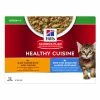 Hill's Science Plan Kittenfutter Healthy Cuisine Ragout -Hundefutter Geschäft g6209861 hill s science plan kittenfutter healthy cuisine ragout 6209861 p