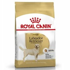 Royal Canin Adult Labrador Retriever