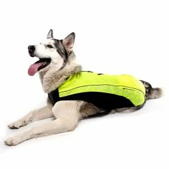 Rogz Hunderegenmantel Rainskin Gelb 10 Rogz Hunderegenmantel Rainskin Gelb -Hundefutter Geschäft g7563561 rogz hunderegenmantel rainskin gelb 530201h 4 p