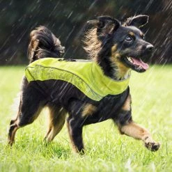Rogz Hunderegenmantel Rainskin Gelb 11 Rogz Hunderegenmantel Rainskin Gelb -Hundefutter Geschäft g7563561 rogz hunderegenmantel rainskin gelb 530201h 5 p