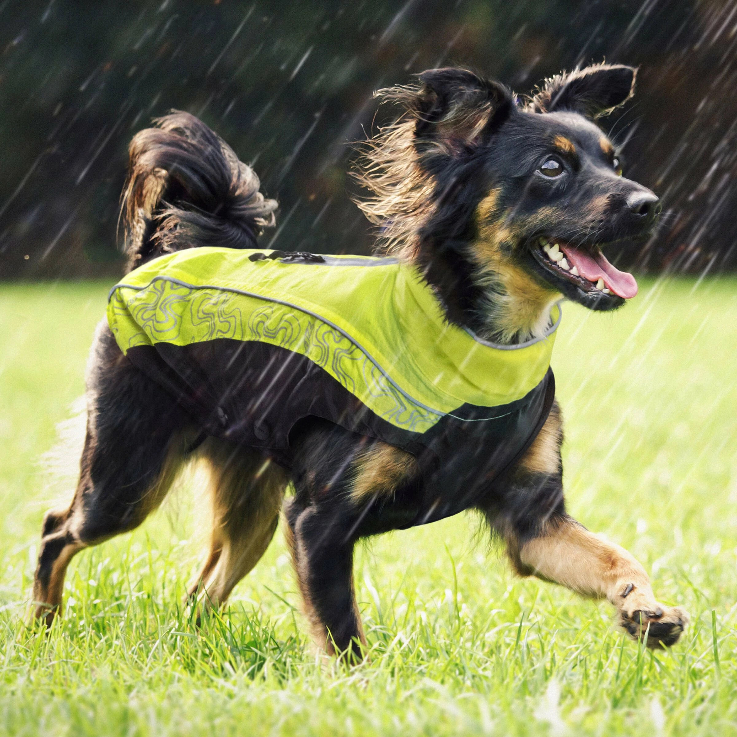 Rogz Hunderegenmantel Rainskin Gelb 7 Rogz Hunderegenmantel Rainskin Gelb – Bild 5