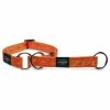 Rogz Alpinist Stop-Halsband Orange 2 Rogz Alpinist Stop-Halsband Orange -Hundefutter Geschäft g7590316 rogz alpinist stop halsband orange 514230d s