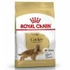 Royal Canin Adult Cocker Spaniel 2 Royal Canin Adult Cocker Spaniel -Hundefutter Geschäft g7692273 royal canin adult cocker spaniel 5417292