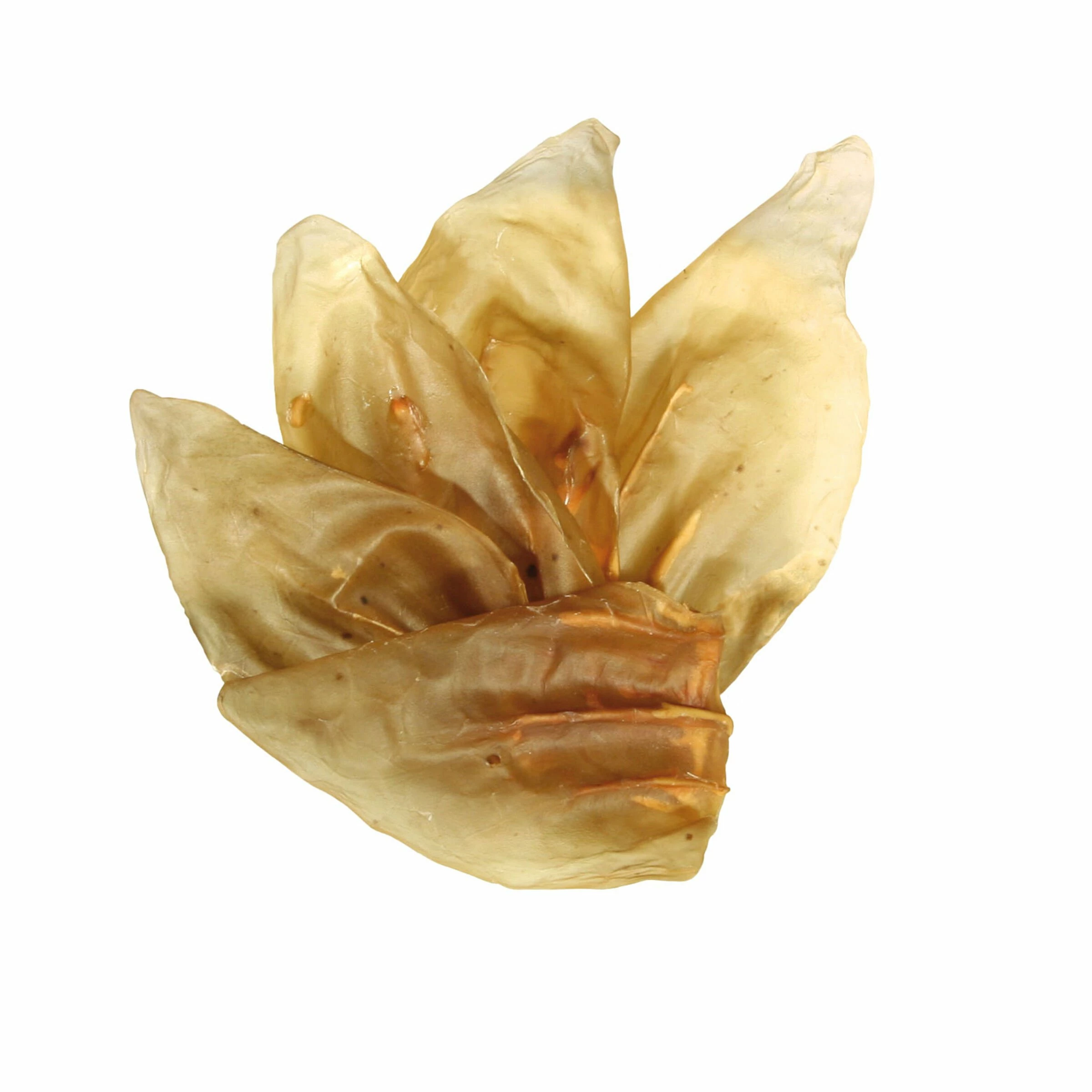 QUALIDOG Kalbsohren 4 QUALIDOG Kalbsohren – Bild 2