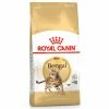 Royal Canin Trockenfutter Für Bengalkatzen -Hundefutter Geschäft g8324445 royal canin trockenfutter fur bengalkatzen 6206473 s