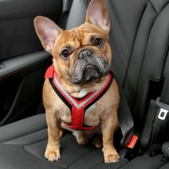 Allsafe Comfort TÜV Autosicherheitsgurt -Hundefutter Geschäft g8764445 allsafe comfort tuv autosicherheitsgurt 5418340 2 p