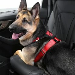 Allsafe Comfort TÜV Autosicherheitsgurt -Hundefutter Geschäft g8764445 allsafe comfort tuv autosicherheitsgurt 5418342 p