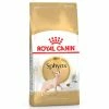 Royal Canin Feline Sphynx -Hundefutter Geschäft g9732707 royal canin feline sphynx 6206604